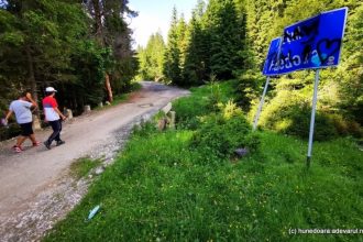 DN 66A, drumul național pierdut în munți. Soarta șoselei spectaculoase, plănuită prin codrii seculari de pe Valea Cernei