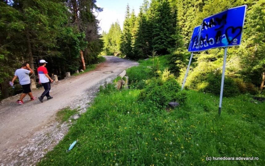 DN 66A - drumul național uitat în munți: va supraviețui șoseaua spectaculoasă care străbate codrii seculari ai Văii Cernei? DN 66A, drumul național pierdut în munți. Soarta șoselei spectaculoase, plănuită prin codrii seculari de pe Valea Cernei