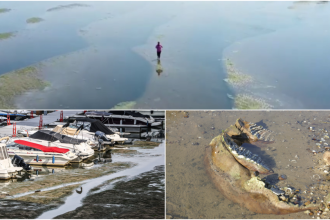„Putem merge pe jos până în România”. Dunărea și Rinul seacă sub caniculă: reactoare oprite, nave blocate și epave descoperite