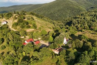 Epopeea coloniștilor germani în satele Banatului Montan. Cum au fost primiți și cuvântul emblematic învățat de la români