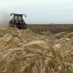 „Vom însămânța pe datorie”. Fermierii intră în campania de toamnă cu motorina peste 10 lei