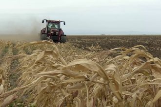 „Vom însămânța pe datorie”. Fermierii intră în campania de toamnă cu motorina peste 10 lei