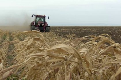 „Vom însămânța pe datorie”. Fermierii intră în campania de toamnă cu motorina peste 10 lei