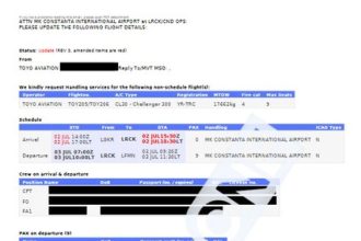 Lista pasagerilor zborurilor private spre Mykonos și Nisa. Ce traseu au urmat avioanele ce transportau politicieni, magistrați și oameni de afaceri