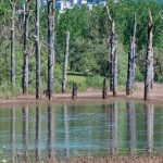 Lacul care dispărea complet și apoi reapărea. Explicația unui fenomen care i-a uimit pe localnicii unui sat și a dat naștere unei legende