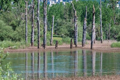 Lacul care dispărea complet și apoi reapărea. Explicația unui fenomen care i-a uimit pe localnicii unui sat și a dat naștere unei legende