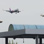 Un avion cu sute de pasageri a făcut o aterizare de urgență pe Aeroportul Otopeni după ce ar fi lovit o pasăre
