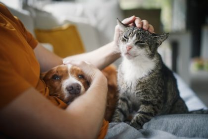 Protest pentru drepturile animalelor în București. În jur de 4.000 de oameni au ieșit în stradă de Ziua Animalelor