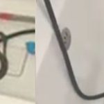 Descoperire neașteptată în Medgidia. O femeie a găsit un șarpe baie, în timp ce se pregătea să-i facă baie copilului