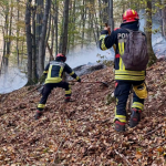 Noi intervenții pentru stingerea incendiilor din Parcul Național Domogled. Peste 1.000 de hectare sunt afectate