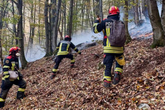 Noi intervenții pentru stingerea incendiilor din Parcul Național Domogled. Peste 1.000 de hectare sunt afectate
