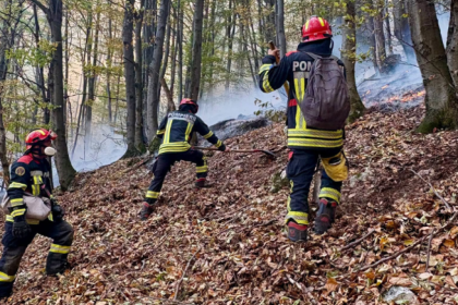Noi intervenții pentru stingerea incendiilor din Parcul Național Domogled. Peste 1.000 de hectare sunt afectate