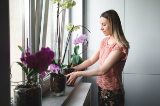 Când trebuie să aduci plantele din balcon și grădină în casă. Temperatura care le poate pune în pericol