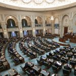 O declarație AUR privind dreptul României de a-şi proteja interesele în Politica Externă a UE, aprobată de Senat. Reacția Oanei Țoiu