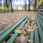 Ploi și temperaturi mai ridicate decât cele obișnuite în această săptămână. Cum va fi vremea în prima parte a lunii noiembrie