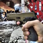 Un administrator din Sectorul 1, acuzat că trage cu pistolul în porumbei pentru a-i alunga